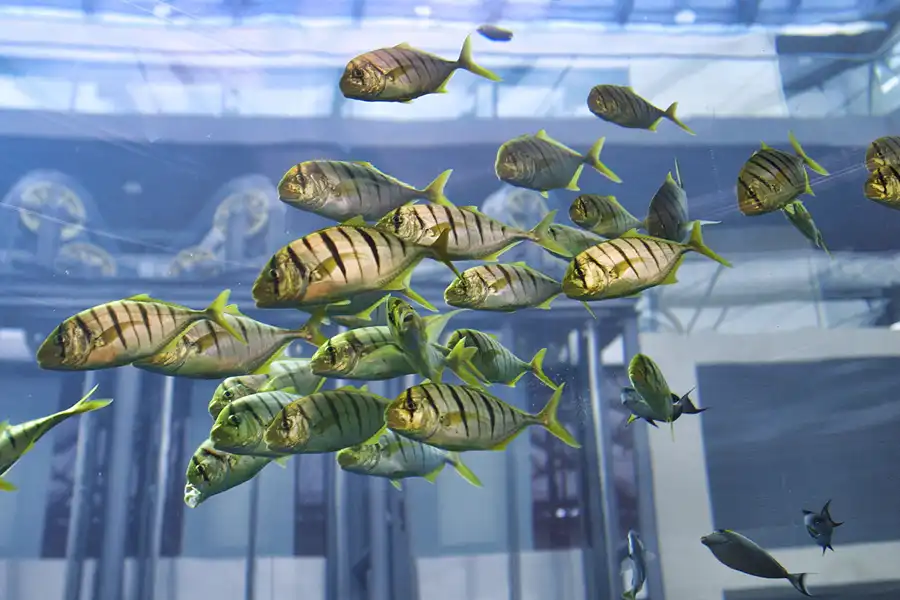 031 | 2004 | Berlin | Sea Life Center + Aqua Dom | © carsten riede fotografie