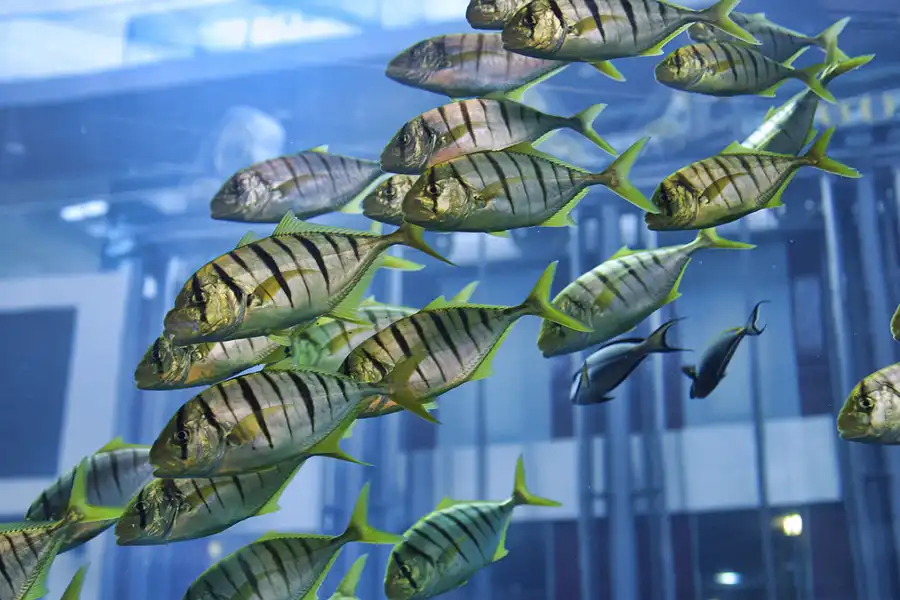 032 | 2004 | Berlin | Sea Life Center + Aqua Dom | © carsten riede fotografie