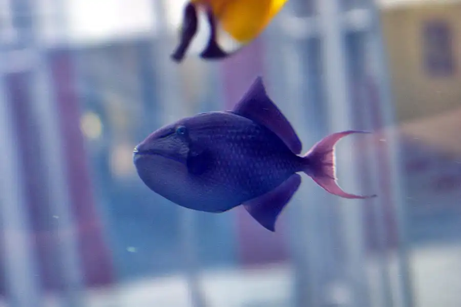 033 | 2004 | Berlin | Sea Life Center + Aqua Dom | © carsten riede fotografie