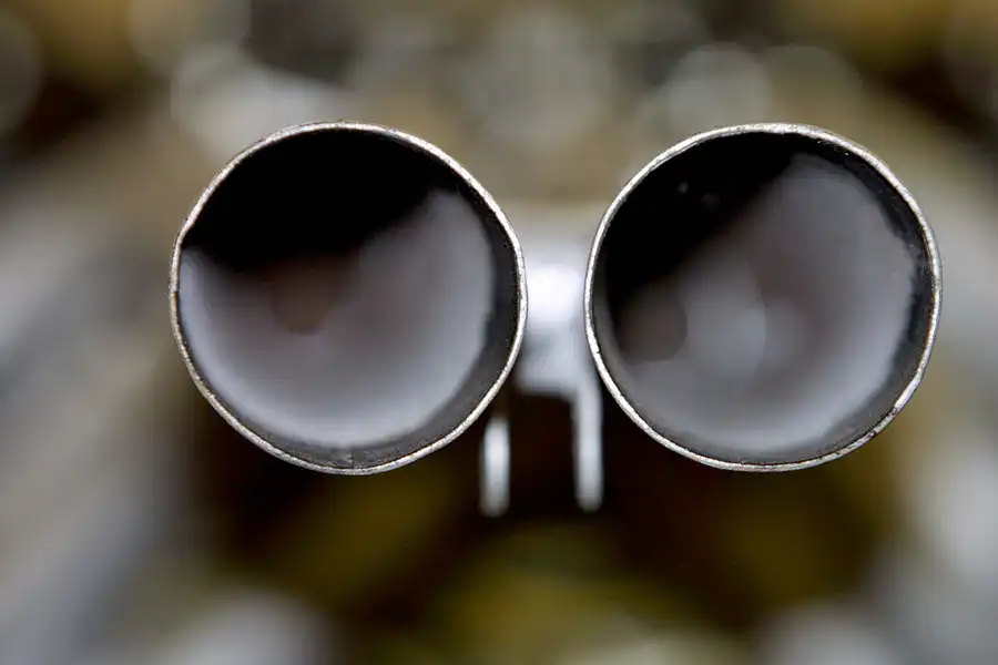 065 | 2004 | Donington | Grand Prix Collection | Climax FWMV V8 Motor (1966-1967) | © carsten riede fotografie