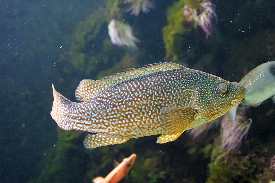 033 | 2004 | Basel | Zoologischer Garten | © carsten riede fotografie