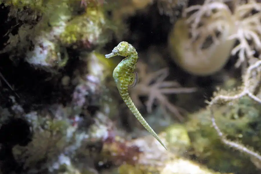 041 | 2004 | Basel | Zoologischer Garten | © carsten riede fotografie