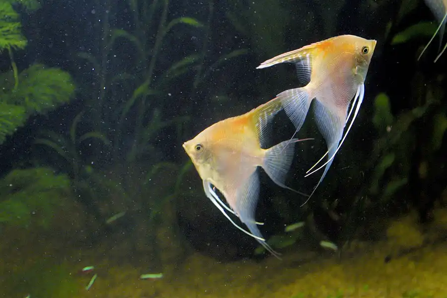 045 | 2004 | Basel | Zoologischer Garten | © carsten riede fotografie