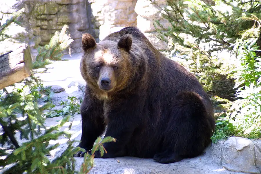 047 | 2004 | Basel | Zoologischer Garten | © carsten riede fotografie