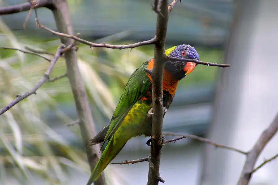 048 | 2004 | Basel | Zoologischer Garten | © carsten riede fotografie