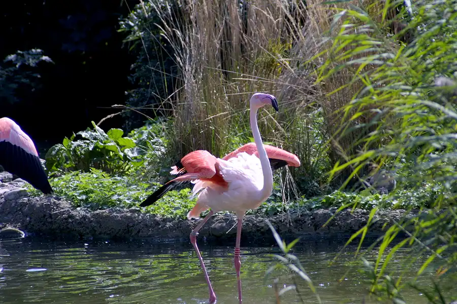 054 | 2004 | Basel | Zoologischer Garten | © carsten riede fotografie