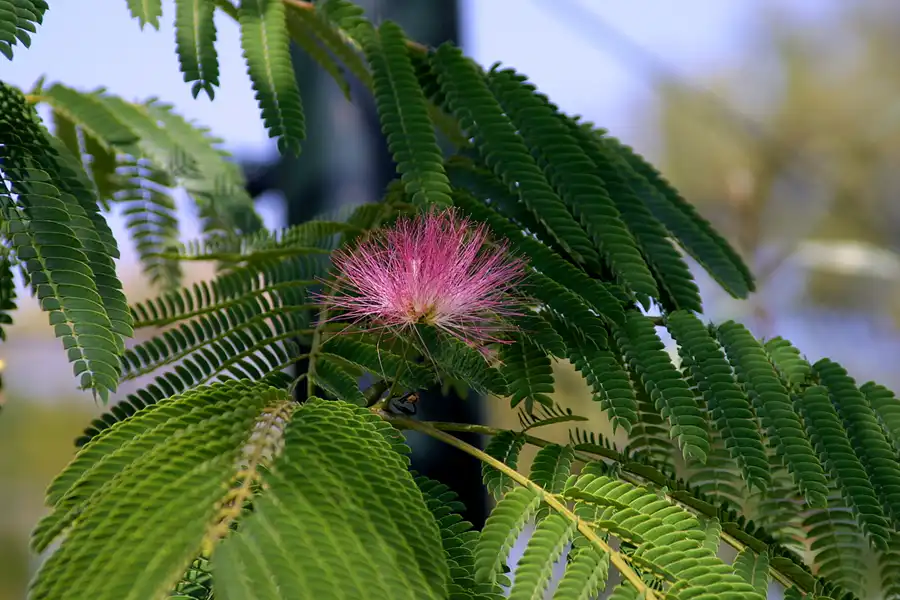 055 | 2004 | Basel | Zoologischer Garten | © carsten riede fotografie