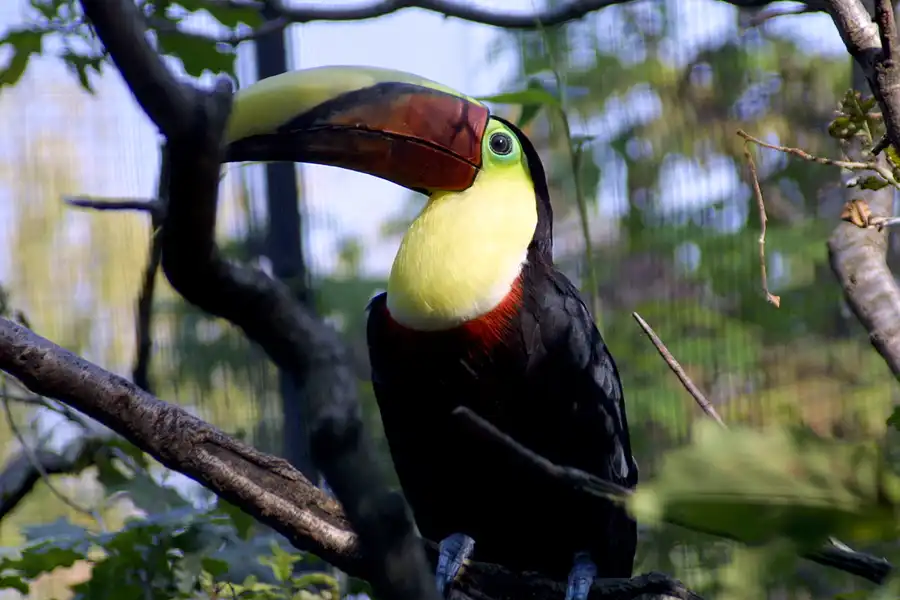 057 | 2004 | Basel | Zoologischer Garten | © carsten riede fotografie