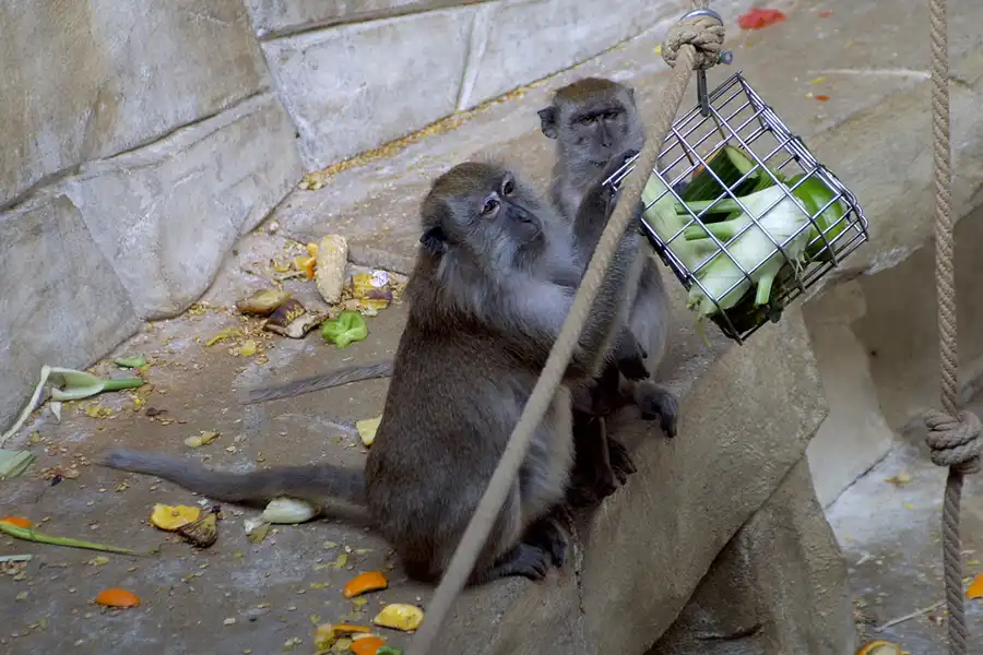 059 | 2004 | Basel | Zoologischer Garten | © carsten riede fotografie