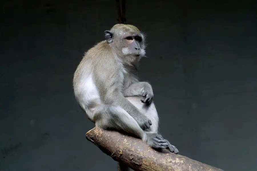 060 | 2004 | Basel | Zoologischer Garten | © carsten riede fotografie