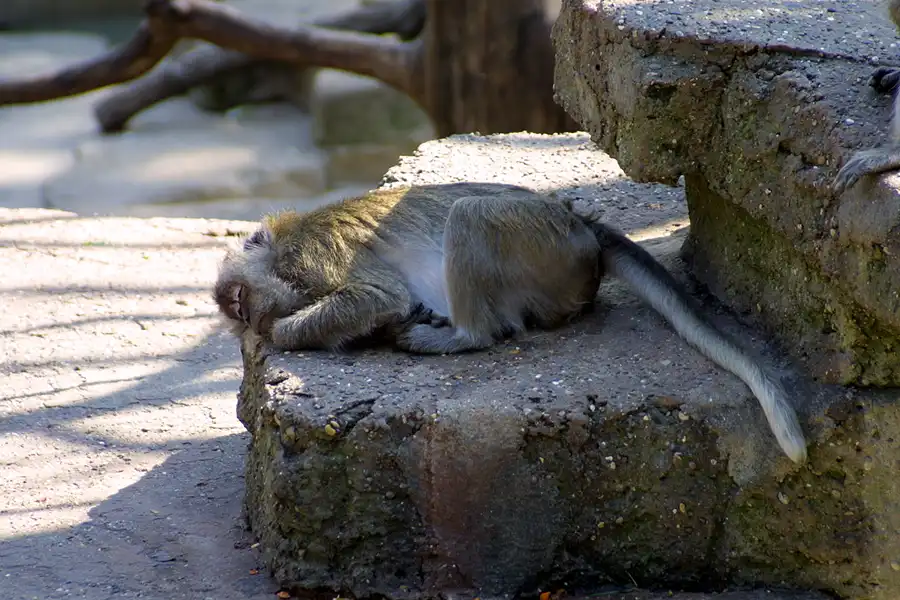 061 | 2004 | Basel | Zoologischer Garten | © carsten riede fotografie