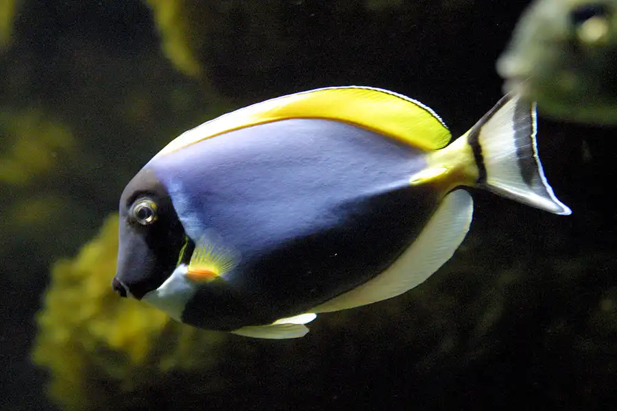 070 | 2004 | Basel | Zoologischer Garten | © carsten riede fotografie