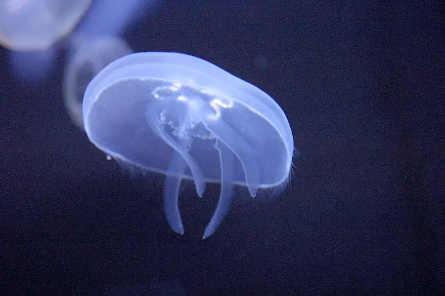 072 | 2004 | Basel | Zoologischer Garten | © carsten riede fotografie