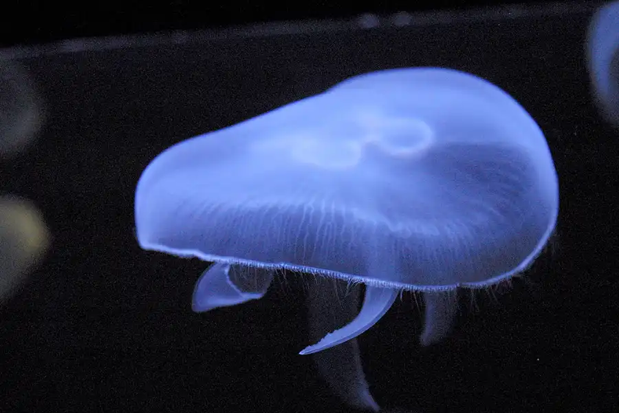 073 | 2004 | Basel | Zoologischer Garten | © carsten riede fotografie