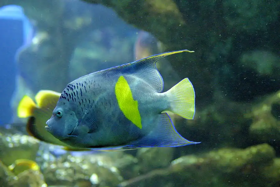 076 | 2004 | Basel | Zoologischer Garten | © carsten riede fotografie