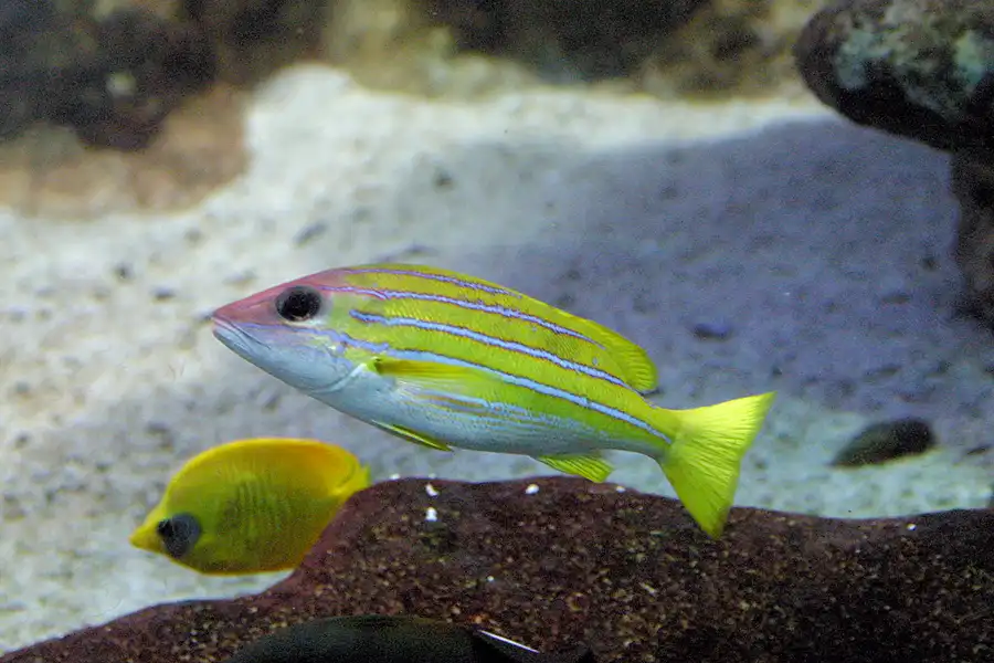 077 | 2004 | Basel | Zoologischer Garten | © carsten riede fotografie