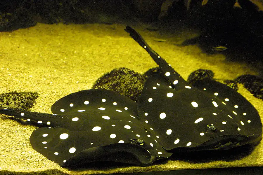 078 | 2004 | Basel | Zoologischer Garten | © carsten riede fotografie