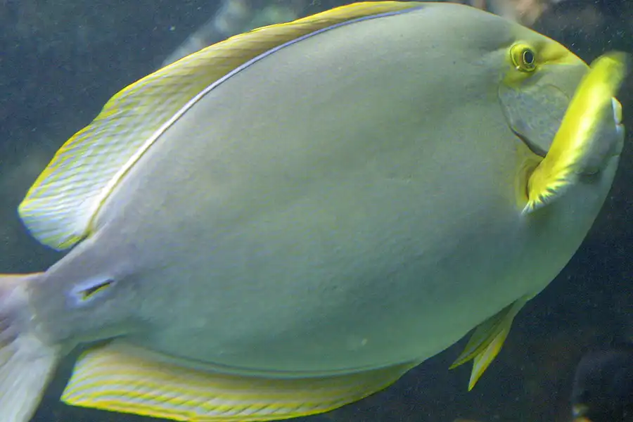 080 | 2004 | Basel | Zoologischer Garten | © carsten riede fotografie