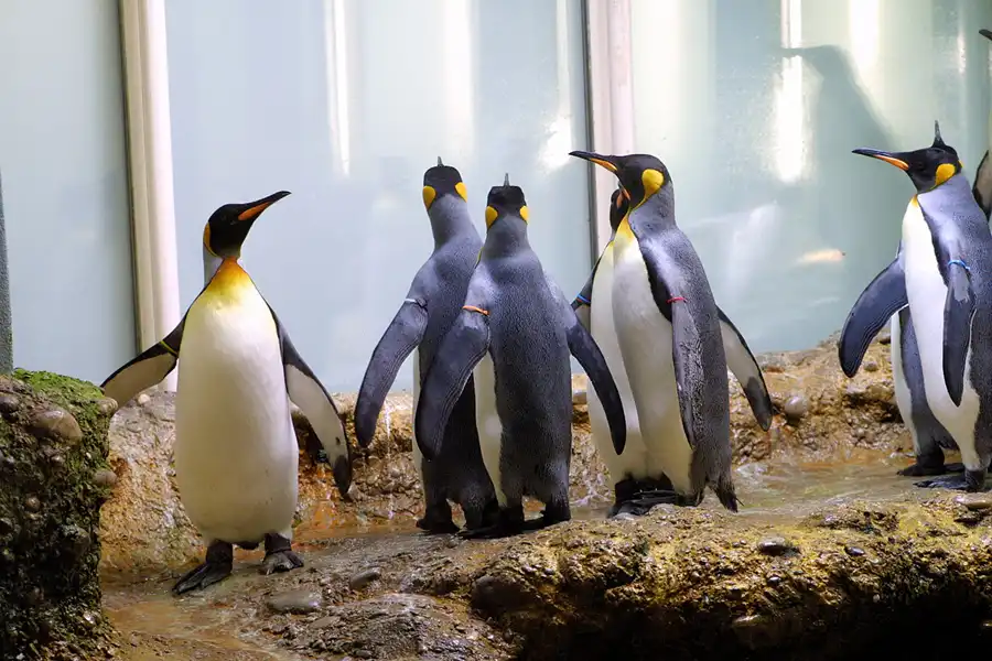 082 | 2004 | Basel | Zoologischer Garten | © carsten riede fotografie