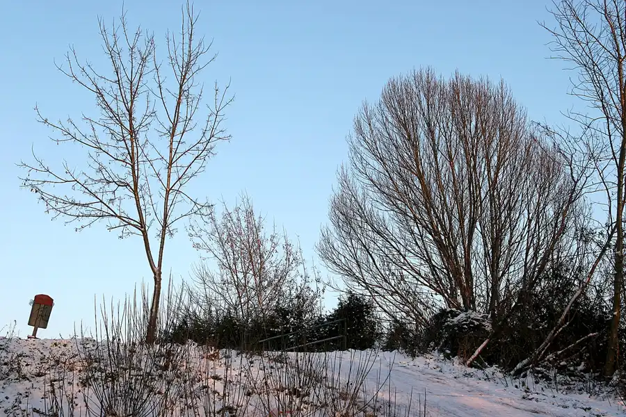 003 | 2005 | Berlin | Volkspark Prenzlauer Berg | © carsten riede fotografie
