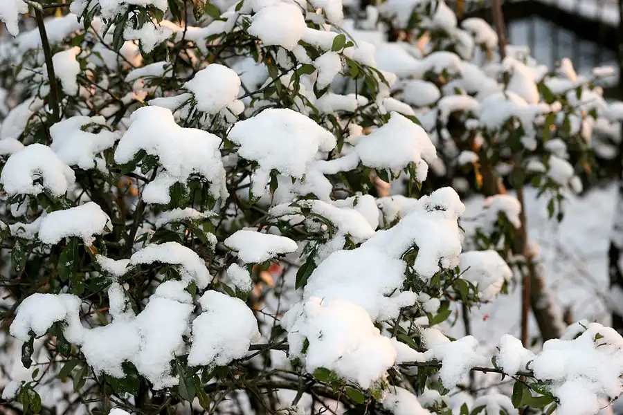 004 | 2005 | Berlin | Volkspark Prenzlauer Berg | © carsten riede fotografie