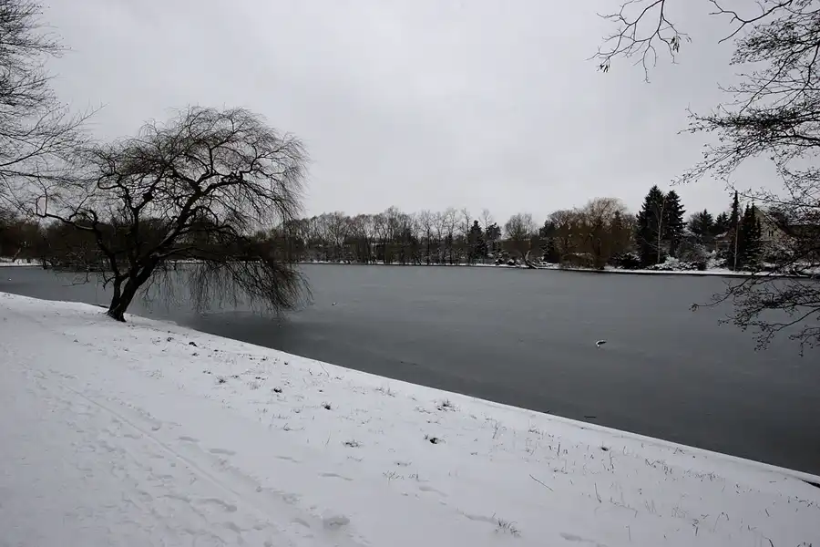 041 | 2005 | Berlin | Obersee-Orankesee-Park | © carsten riede fotografie