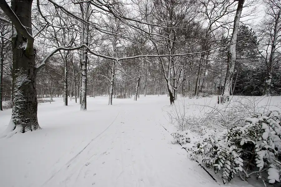 043 | 2005 | Berlin | Obersee-Orankesee-Park | © carsten riede fotografie