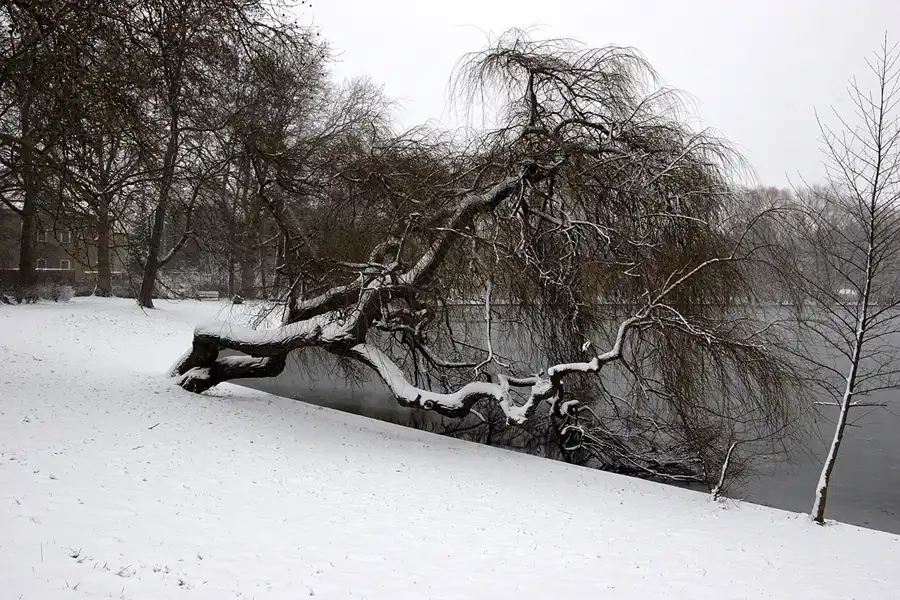047 | 2005 | Berlin | Obersee-Orankesee-Park | © carsten riede fotografie