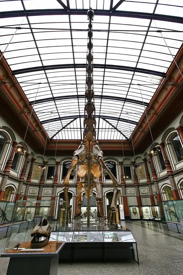 002 | 2005 | Berlin | Museum für Naturkunde | © carsten riede fotografie