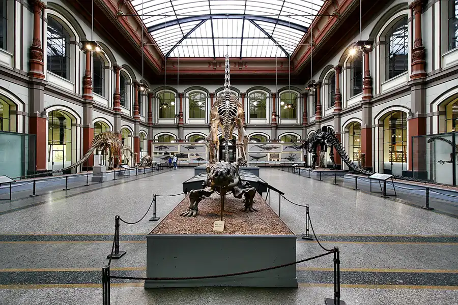 005 | 2005 | Berlin | Museum für Naturkunde | © carsten riede fotografie