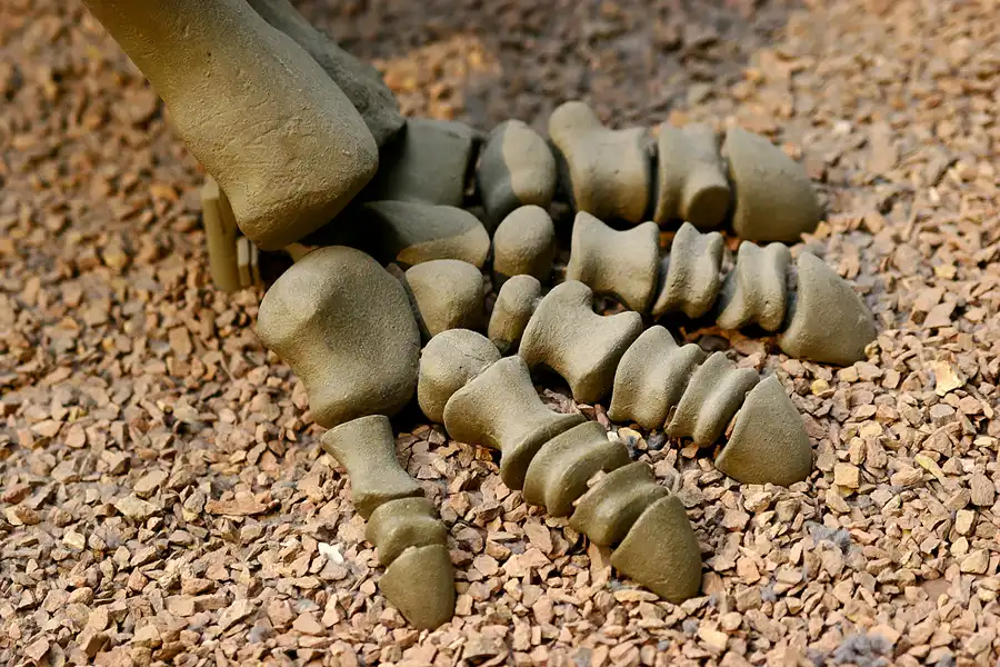 021 | 2005 | Berlin | Museum für Naturkunde | © carsten riede fotografie