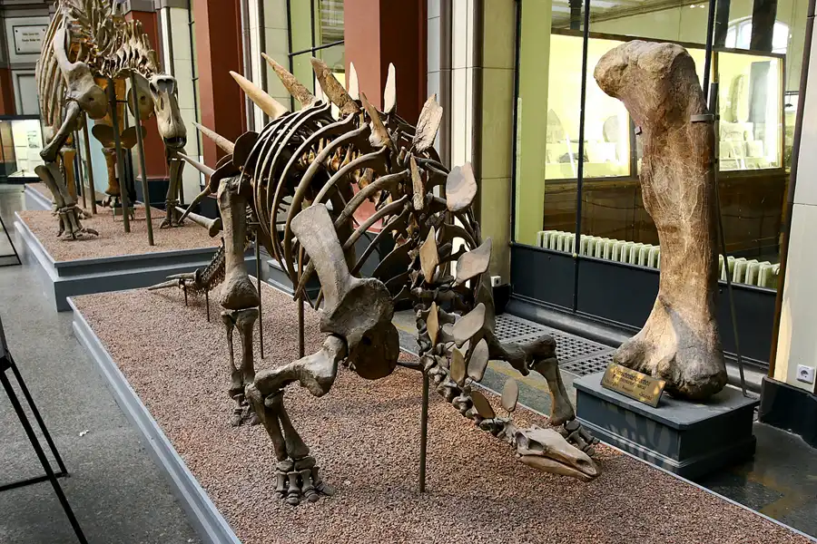 024 | 2005 | Berlin | Museum für Naturkunde | © carsten riede fotografie