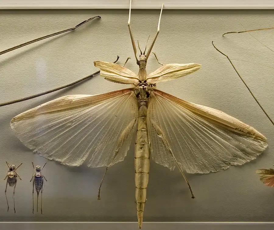 026 | 2005 | Berlin | Museum für Naturkunde | © carsten riede fotografie