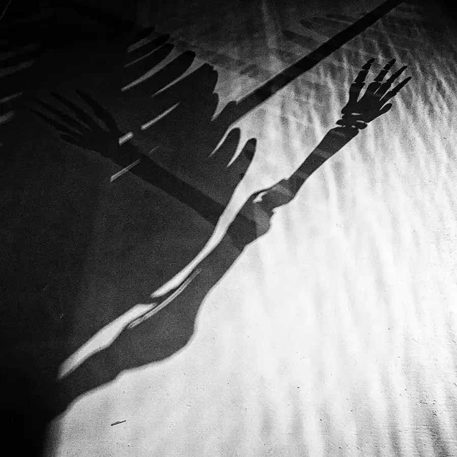 033 | 2005 | Berlin | Museum für Naturkunde | © carsten riede fotografie