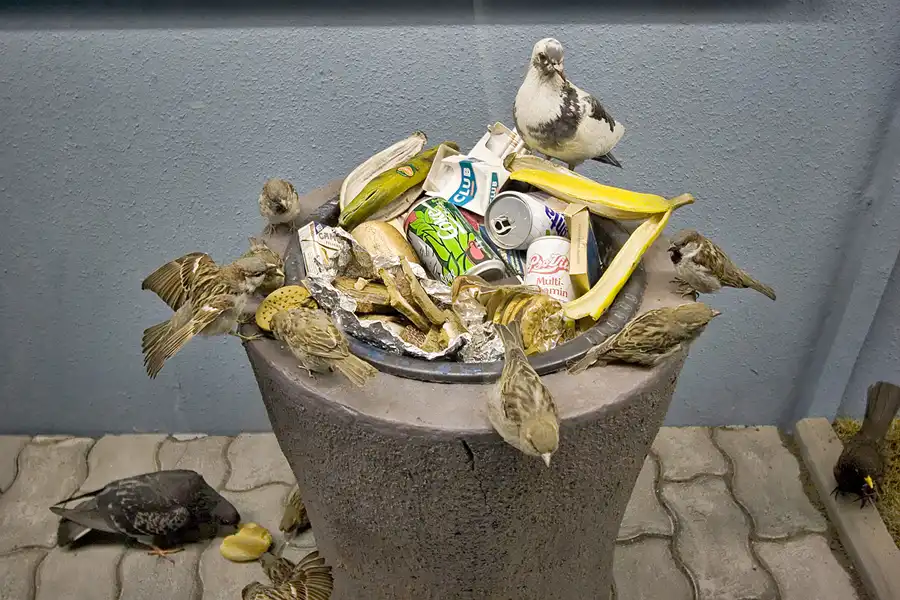 041 | 2005 | Berlin | Museum für Naturkunde | © carsten riede fotografie