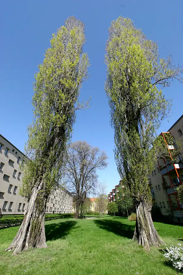 003 | 2005 | Berlin | © carsten riede fotografie