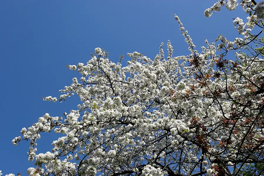 004 | 2005 | Berlin | © carsten riede fotografie