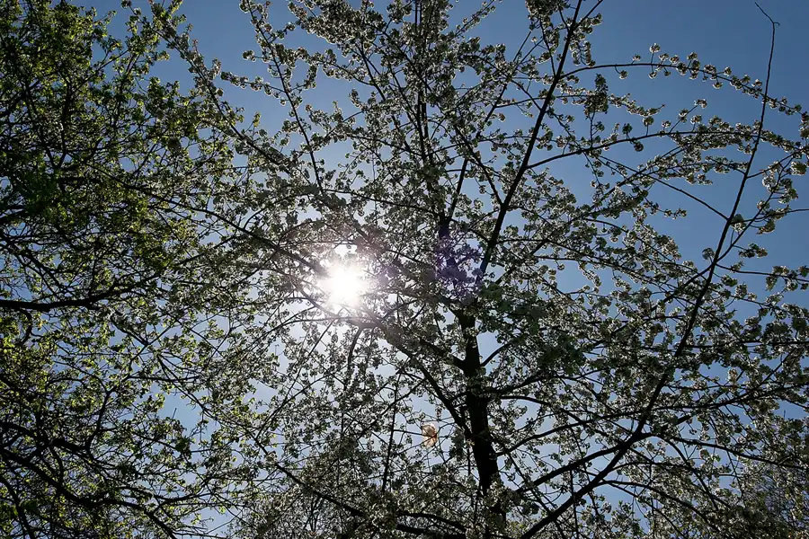 006 | 2005 | Berlin | © carsten riede fotografie