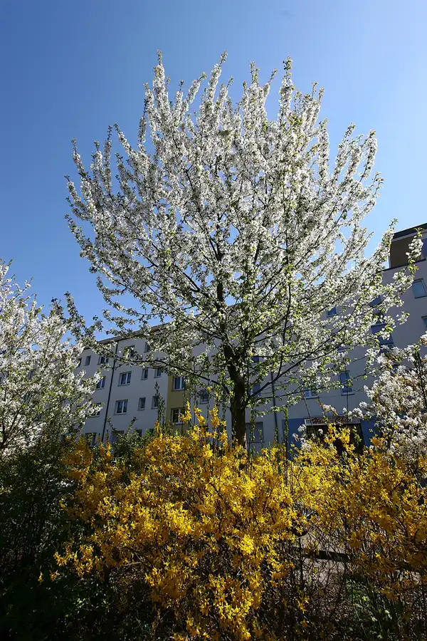 008 | 2005 | Berlin | © carsten riede fotografie