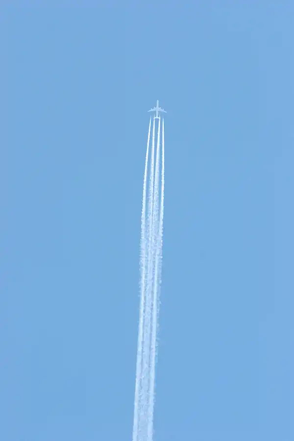 013 | 2005 | Berlin | Obersee-Orankesee-Park | © carsten riede fotografie