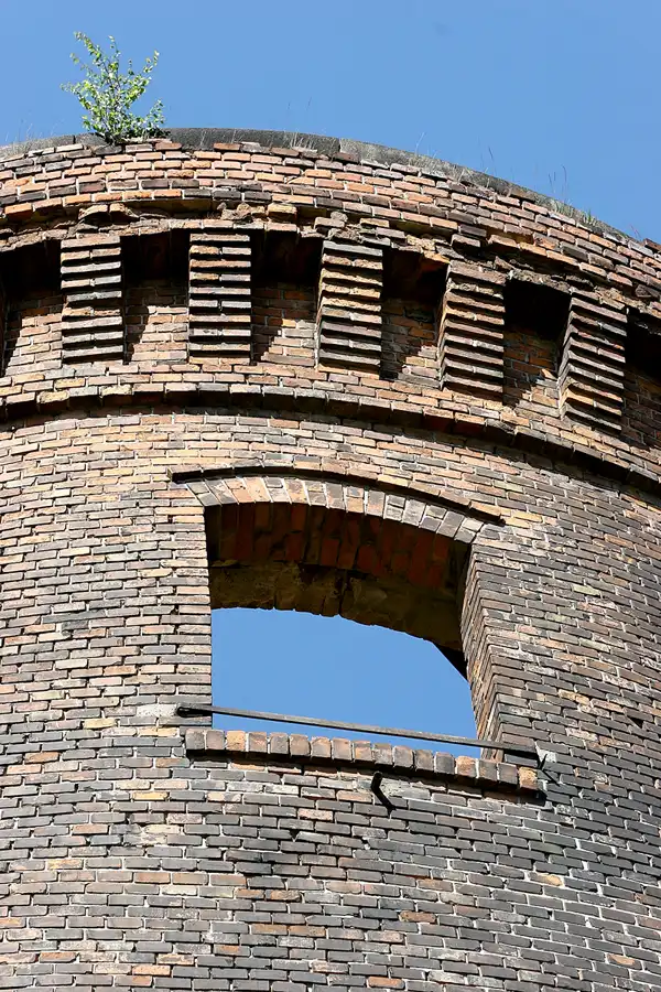 024 | 2005 | Berlin | Obersee-Orankesee-Park | © carsten riede fotografie