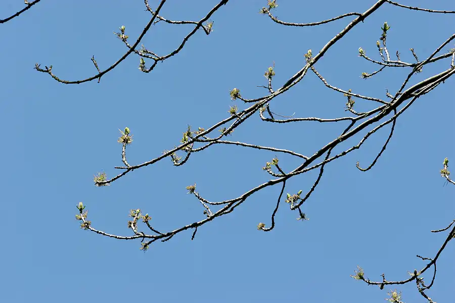 027 | 2005 | Berlin | Obersee-Orankesee-Park | © carsten riede fotografie