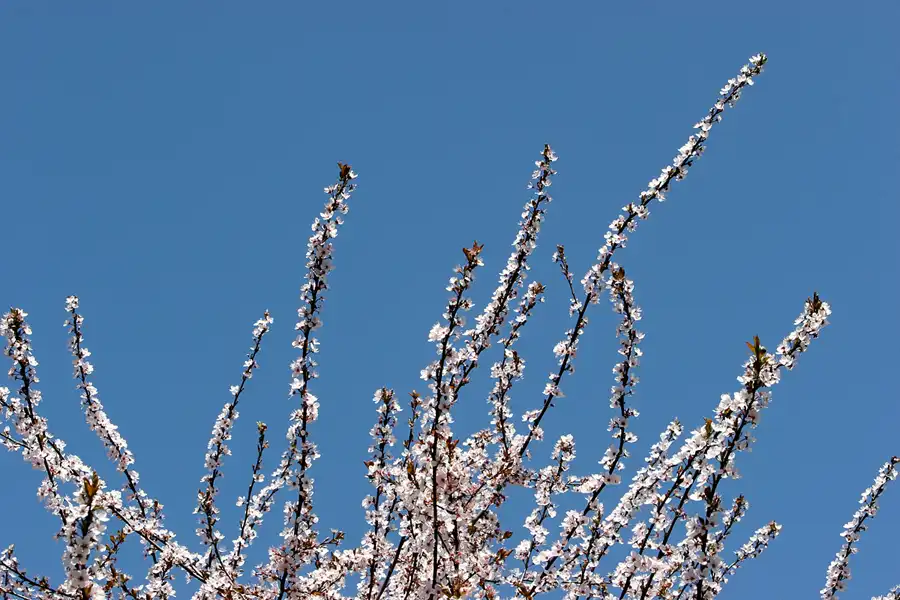 032 | 2005 | Berlin | Obersee-Orankesee-Park | © carsten riede fotografie