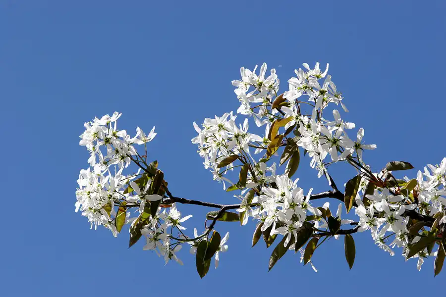 034 | 2005 | Berlin | Obersee-Orankesee-Park | © carsten riede fotografie