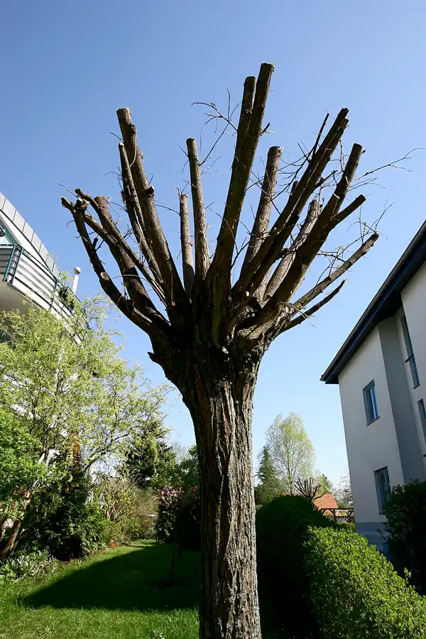 041 | 2005 | Berlin | © carsten riede fotografie