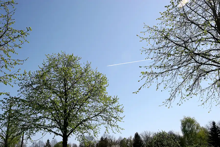 042 | 2005 | Berlin | © carsten riede fotografie