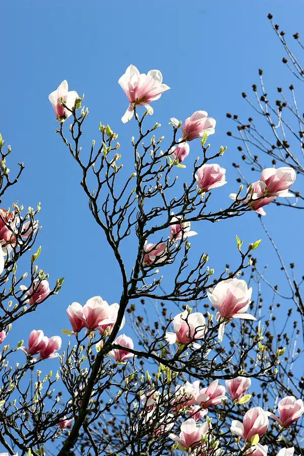 044 | 2005 | Berlin | © carsten riede fotografie