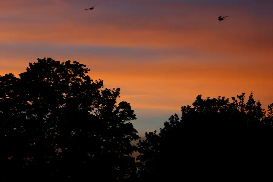077 | 2005 | Königstein | Festung | © carsten riede fotografie