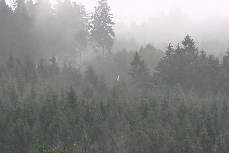 220 | 2005 | Spa-Francorchamps | Circuit De Spa-Francorchamps | © carsten riede fotografie