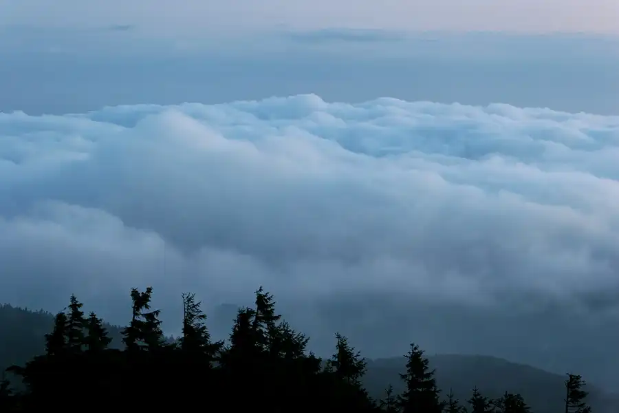 036 | 2005 | Harz | Brocken | © carsten riede fotografie